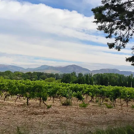 Mas L'escale Des Dentelles